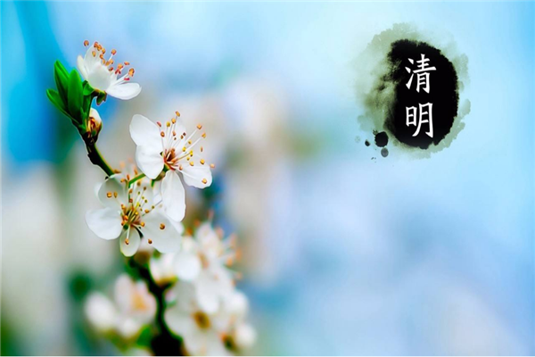 9299彩集团喷塑设备厂家 | 清明时节哀思中蕴含着希望