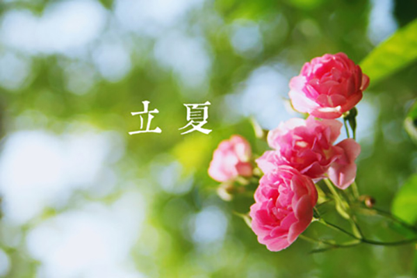 9299彩集团涂装|立夏,万物向阳,且共成长